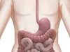 4 Drinks You Should Take Regularly To Clean Your Stomach