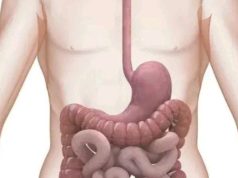 4 Drinks You Should Take Regularly To Clean Your Stomach