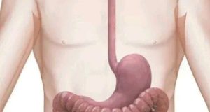 4 Drinks You Should Take Regularly To Clean Your Stomach