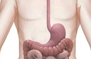 4 Drinks You Should Take Regularly To Clean Your Stomach