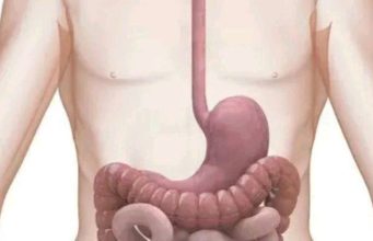 4 Drinks You Should Take Regularly To Clean Your Stomach