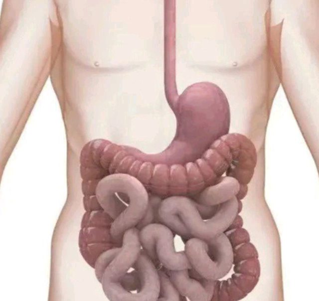 4 Drinks You Should Take Regularly To Clean Your Stomach