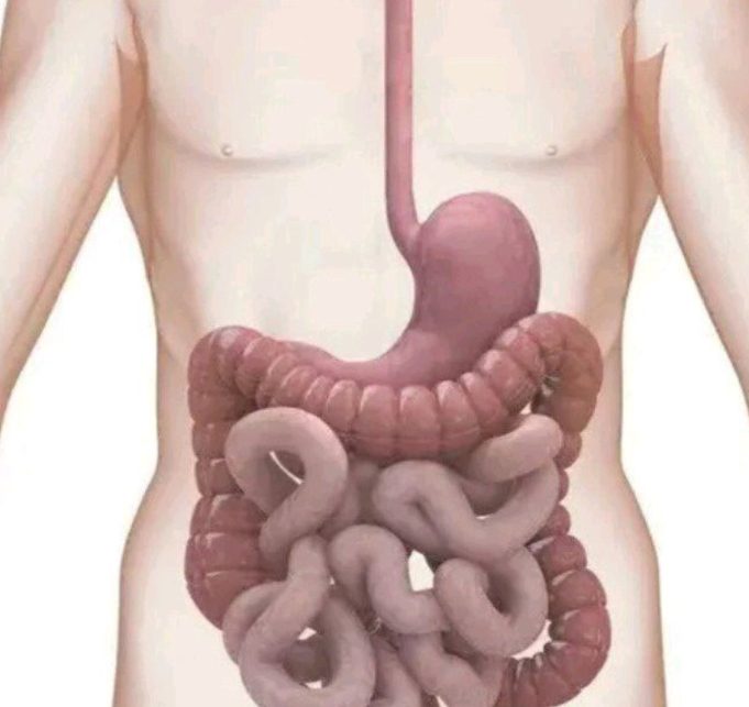 4 Drinks You Should Take Regularly To Clean Your Stomach