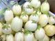 Health conditions that make regular eating of garden eggs risky