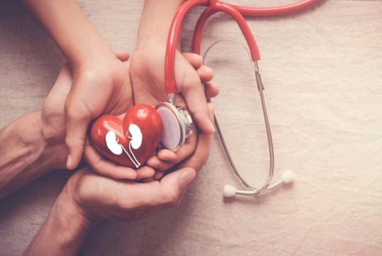 Repair the kidney damage fast with only 1 teaspoon of this household ingredients