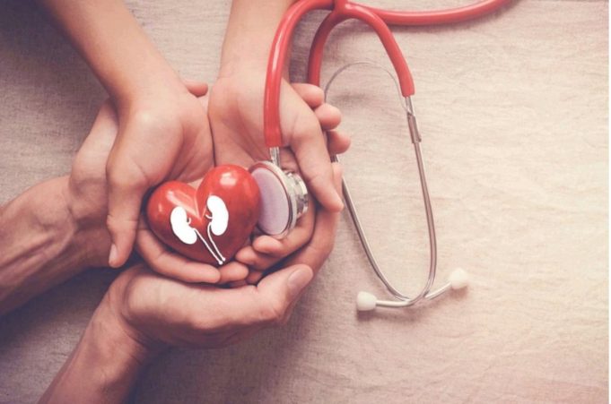 Repair the kidney damage fast with only 1 teaspoon of this household ingredients