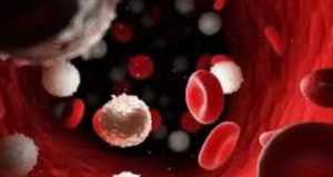 Blood cancer kills. Please avoid taking these things in excess