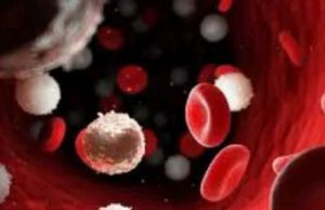 Blood cancer kills. Please avoid taking these things in excess