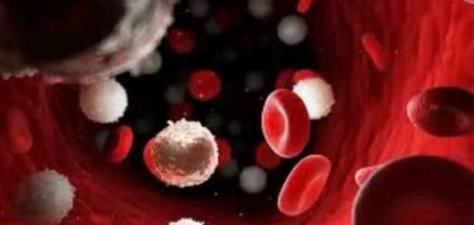 Blood cancer kills. Please avoid taking these things in excess