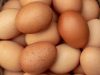 Foods You Should Avoid Eating With Eggs