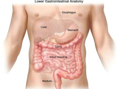 Colon Cancer Kills: If You Notice These Signs, Rush to the Hospital for Check Up