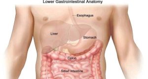 Colon Cancer Kills: If You Notice These Signs, Rush to the Hospital for Check Up